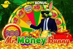 Mr. Money Bunny
